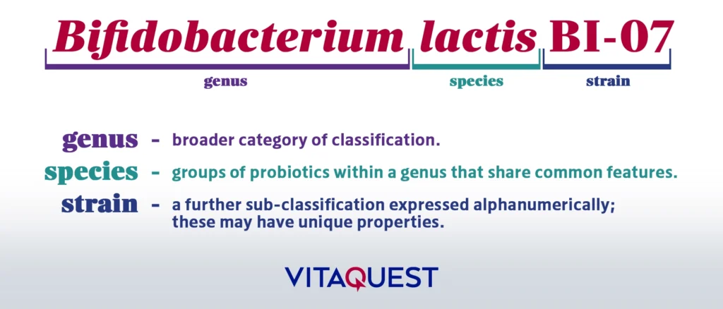 Probiotic genus species strain definitions Probiotic genus species strain definitions