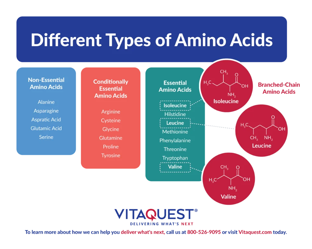 An infographic showing the different types of non-essential, conditionally-essential, and essential amino acids, including the chemical structures of isoleucine, leucine, and valine. An infographic showing the different types of non-essential, conditionally-essential, and essential amino acids, including the chemical structures of isoleucine, leucine, and valine.